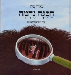 ספר הכינה נחמה
