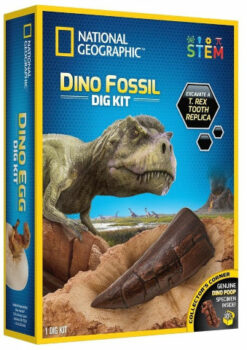 שיני T.rex ערכת חפירה National Geographic